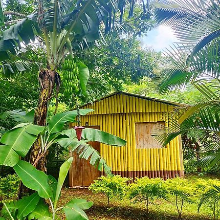 Cabanas Ixaya Catemaco Eksteriør billede