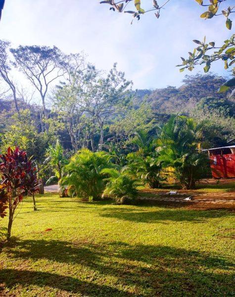 Cabanas Ixaya Catemaco Eksteriør billede