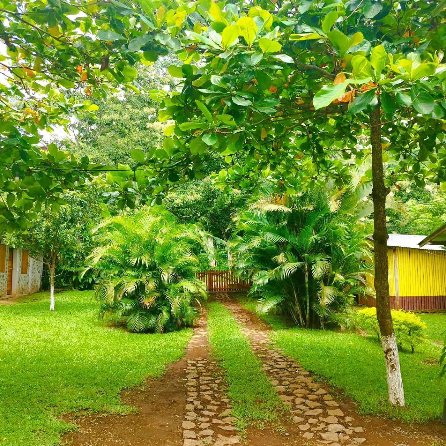 Cabanas Ixaya Catemaco Eksteriør billede